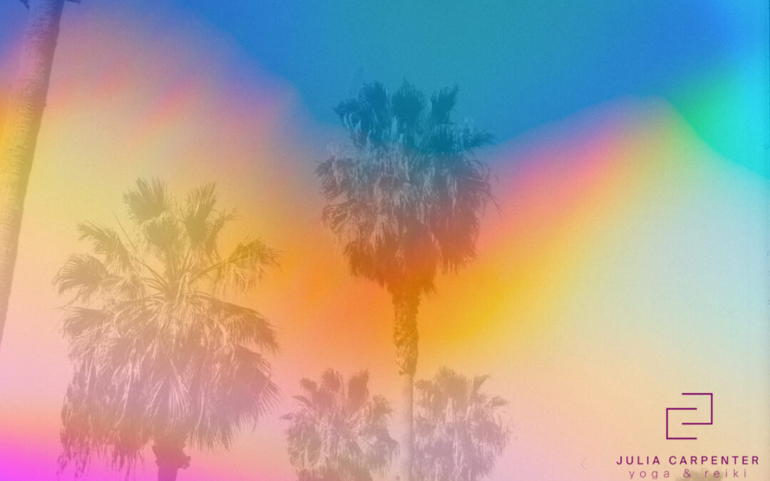 palm trees with colors